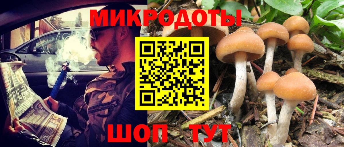 Псилоцибиновые грибы Psilocybine cubensis Красногорск