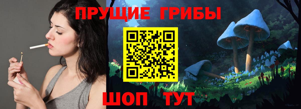 Красногорск  Псилоцибиновые грибы Psilocybine cubensis  Вход с VPN 